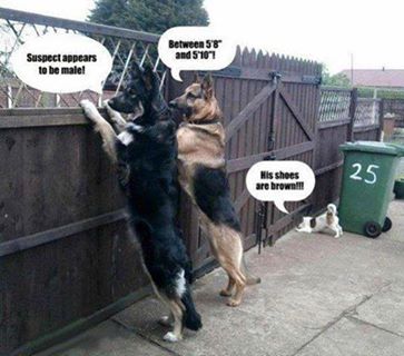 Crime Fighters